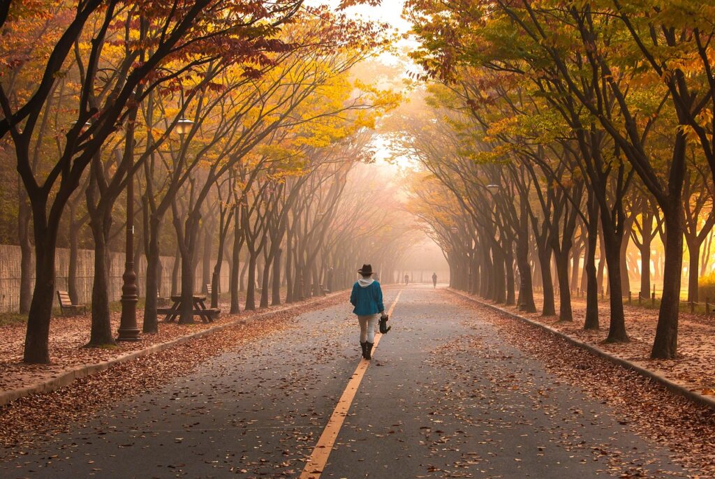 road, pavement, woman, trees, walk, girl, fog, walking, roadway, avenue, mist, leaves, foliage, autumn, fall, park, walk, walk, walk, nature, walking, walking, walking, walking, walking